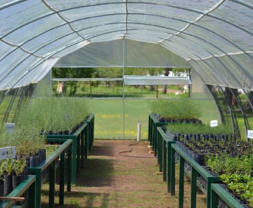 Se realizar&aacute; una jornada t&eacute;cnica sobre la mosca de los frutos en el Vivero Sol Puntano