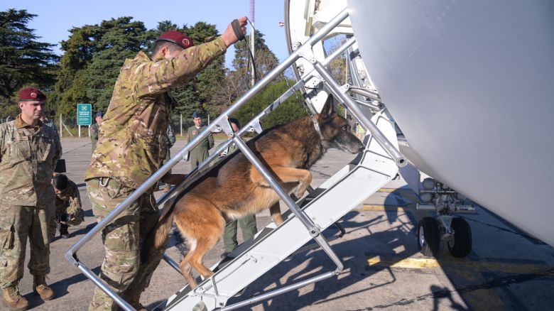 Un perro argentino rescata a dos menores entre los escombros en Venezuela