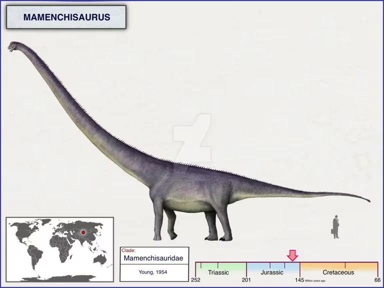 Identificaron fósiles de un dinosaurio con el cuello más largo jamás descubierto