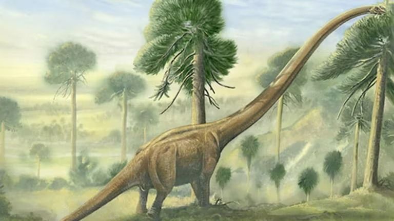 Identificaron fósiles de un dinosaurio con el cuello más largo jamás descubierto