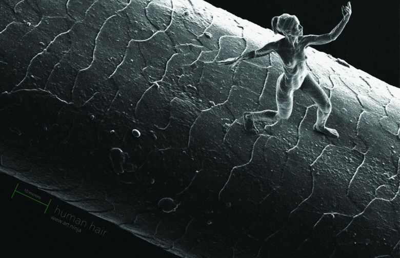 La nanoescultura más pequeña del mundo