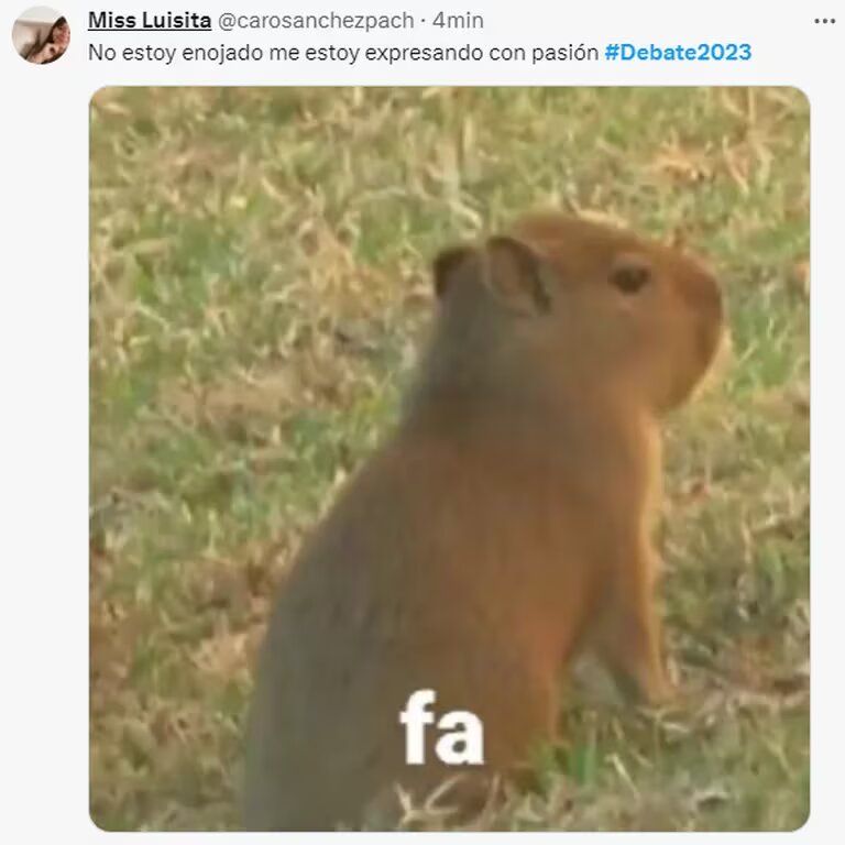 “Si fueras pinocho” y “por sí o por no”: los mejores memes del debate presidencial entre Sergio Massa y Javier Milei