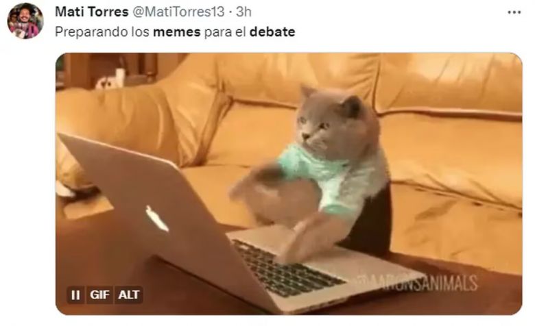 “Si fueras pinocho” y “por sí o por no”: los mejores memes del debate presidencial entre Sergio Massa y Javier Milei