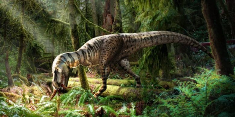 Esta fue la última comida de un tiranosaurio recién descubierto 